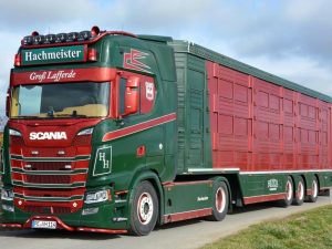 Hachmeister Scania S Series High Roof 4×2 with Livestock trailer