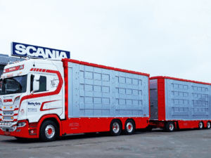 BETTE GRIS SCANIA S HIGH ROOF WITH LIVESTOCK TRAILER